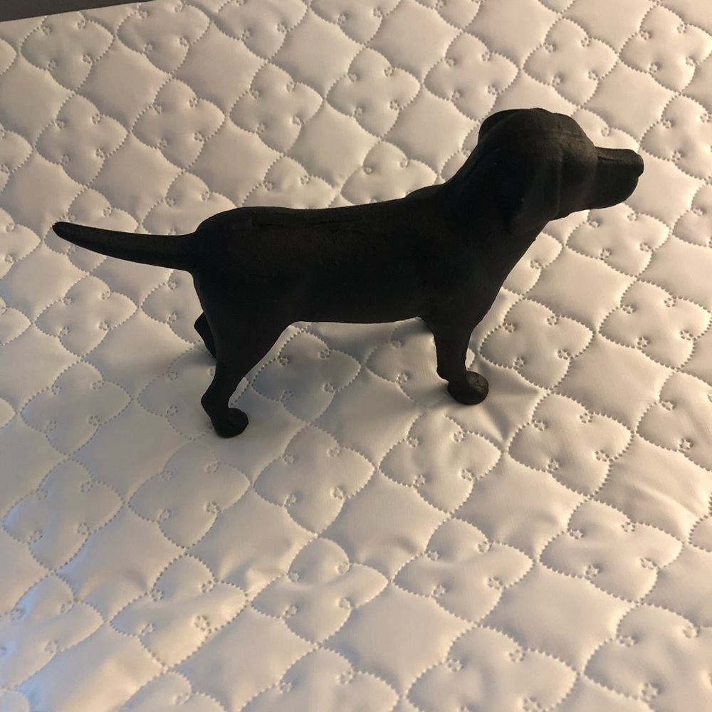 🌻cast iron retriever🌻